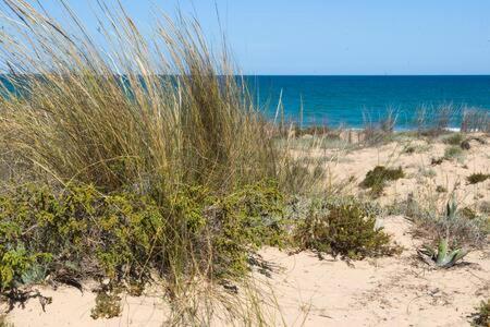 Casa Felipa, Una Estancia Unica En La Costa Blanca Guardamar del Segura Exteriör bild